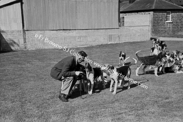 AT JIGGINSTOWN KENNELS